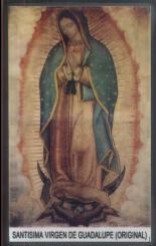 Obraz Matki Boskiej z Guadalupe w aureoli światła, stojącej na półksiężycu.