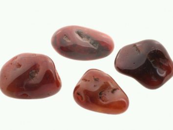 Cztery czerwone, wypolerowane kamienie karneolu na białym tle.