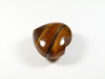 Polerowany kamień tygrysie oko leży na białym tle.