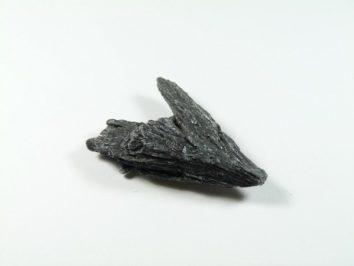 Czarny minerał kyanit o strukturze przypominającej skrzydło, leży na białym tle.