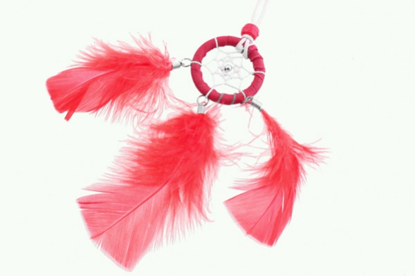 Łapacz snów z czerwonymi piórami na białym tle.