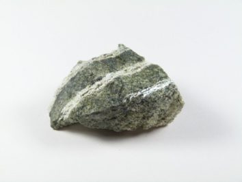 Szara skała metamorficzna z widocznymi białymi żyłami na jasnym tle.