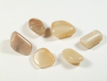 Sześć gładkich, jasno-brązowych kamieni ułożonych na białym tle.