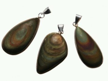 Trzy wisiorki z muszli w metalowych oprawach na białym tle.