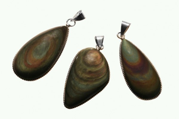 Trzy wisiorki z muszli w metalowych oprawach na białym tle.