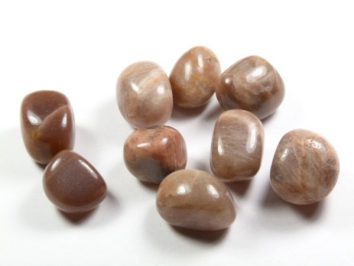 Kamień księżycowy - kamień gładzony, polerowany, szlifowany i bębnowany w formie otoczaka. Dziewięć gładkich, brązowych kamieni księżycowych leży na białym tle.