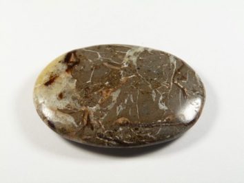 Septarian - kamień gładzony, polerowany, szlifowany. Wypolerowany, owalny kamień o brązowej powierzchni z jasnymi żyłkami na białym tle.