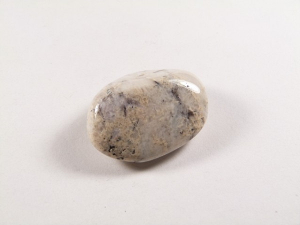 Wypolerowany, jasny kamień leży na białym tle.