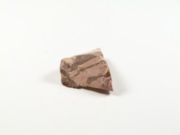 Jaspis zebra - kamień naturalny, surowy, nieszlifowany. Fragment różowego kamienia leży na białym tle.