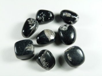 Kamień chryzantemowy - kamień gładzony, polerowany, szlifowany i bębnowany w formie otoczaka. Osiem wypolerowanych czarnych kamieni z białymi smugami leży na białym tle.