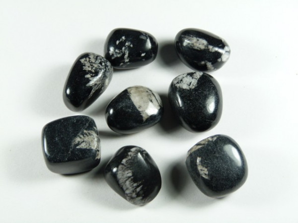 Kamień chryzantemowy - kamień gładzony, polerowany, szlifowany i bębnowany w formie otoczaka. Osiem wypolerowanych czarnych kamieni z białymi smugami leży na białym tle.