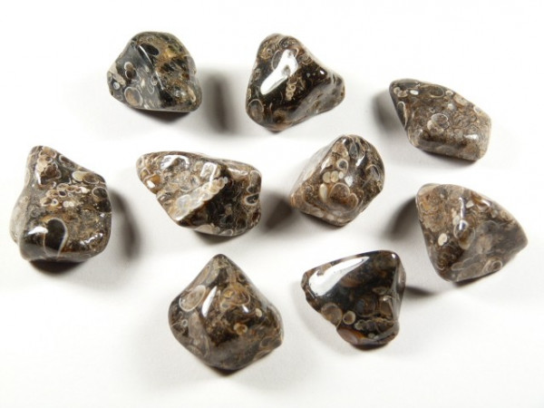 Osiem wypolerowanych kamieni o brązowym kolorze z jasnymi wzorami, leży na białym tle.