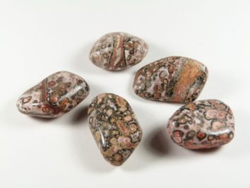 Jaspis skóra leoparda/ jaspis leopardzi - kamień gładzony, polerowany, szlifowany i bębnowany w formie otoczaka. Pięć gładkich, wielobarwnych kamieni leży na białym tle.