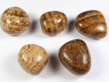 Pięć wygładzonych, brązowo-kremowych kamieni leży na białym tle.