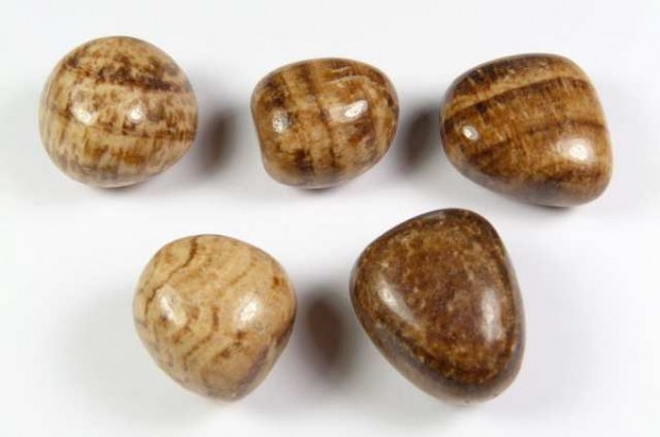 Pięć wygładzonych, brązowo-kremowych kamieni leży na białym tle.