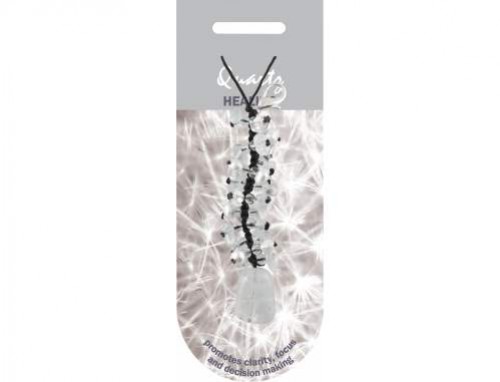 Naszyjnik z czarnym sznurkiem i przezroczystym kamieniem na ozdobnej karcie.