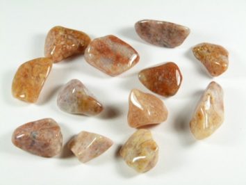 Kilka wypolerowanych kamieni o brązowo-beżowych odcieniach leży na białym tle.