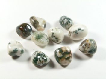 Jaspis drzewny - kamień gładzony, polerowany, szlifowany i bębnowany w formie otoczaka. Dziesięć polerowanych kamieni zielono-białych leży na białym tle.