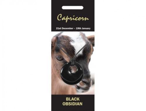 Koza z wiszącym czarnym obsydianem, napis "Capricorn" oraz daty znaku zodiaku.