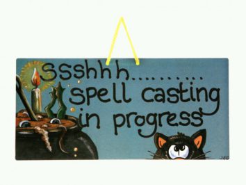Tabliczka z napisem „Ssshhh… spell casting in progress”, kociołek i czarny kot.