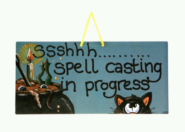 Tabliczka z napisem „Ssshhh… spell casting in progress”, kociołek i czarny kot.