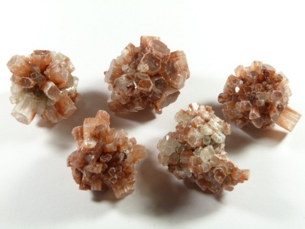 Pięć brązowo-białych kryształów aragonitu na białym tle.