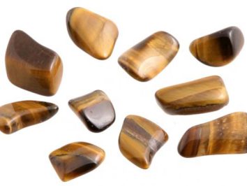 Kilka oszlifowanych kamieni tygrysiego oka na białym tle.