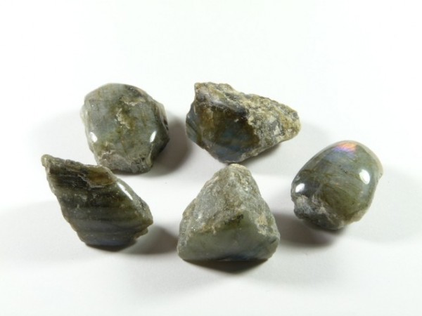 Pięć surowych kamieni labradorytu ułożonych na białym tle.