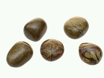 Skamieniałe muszle - kamień gładzony, polerowany, szlifowany i bębnowany w formie otoczaka. Pięć wypolerowanych, brązowych kamieni leży na jasnym tle.