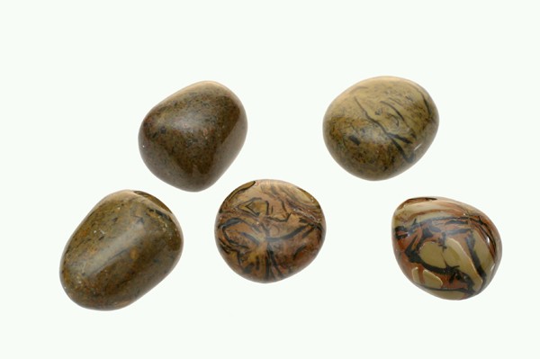 Skamieniałe muszle - kamień gładzony, polerowany, szlifowany i bębnowany w formie otoczaka. Pięć wypolerowanych, brązowych kamieni leży na jasnym tle.