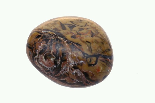 Polerowany kamień jaspisu w brązowo-czarnych odcieniach na jasnym tle.