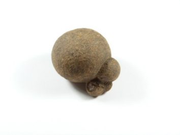 Koprolit - kamień naturalny, surowy, nieszlifowany. Brązowy kamień o nieregularnym kształcie na białym tle.