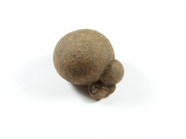 Koprolit - kamień naturalny, surowy, nieszlifowany. Brązowy kamień o nieregularnym kształcie na białym tle.