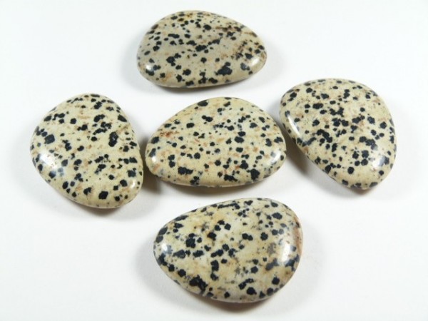 Jaspis dalmatyńczyk płaski szlifowany kamień. Pięć gładkich, beżowych kamieni w czarne plamki ułożonych na białym tle.