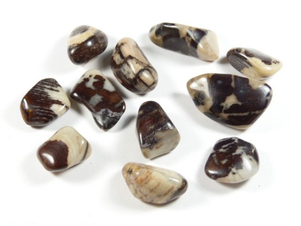 Kilka wypolerowanych kamieni o brązowo-białym ubarwieniu leży na białym tle.