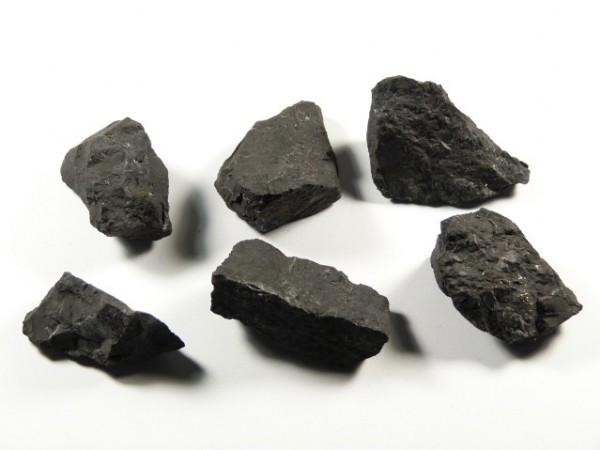 Sześć kawałków czarnego węgla leży na białym tle.