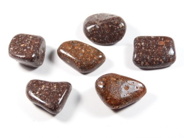 Sześć gładkich, brązowych, wypolerowanych kamieni leży na białym tle.