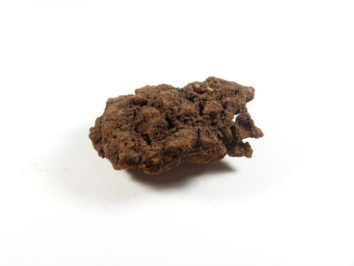 Brązowy kawałek pumeksu leży na białym tle.