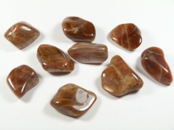 Dziewięć wygładzonych, brązowych kamieni leży na białym tle.