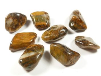 Osiem polerowanych kamieni jaspisu leży na białym tle.