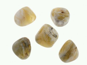Opal żółty - kamień gładzony, polerowany, szlifowany i bębnowany w formie otoczaka. Pięć żółtawych, wygładzonych kamieni leży na białym tle.