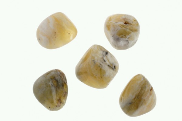 Opal żółty - kamień gładzony, polerowany, szlifowany i bębnowany w formie otoczaka. Pięć żółtawych, wygładzonych kamieni leży na białym tle.
