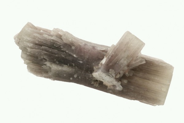 Fioletowy kryształ turmalinu o podłużnym, prążkowanym kształcie na białym tle.