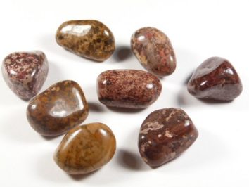 Jaspis Irai - kamień gładzony, polerowany, szlifowany i bębnowany w formie otoczaka. Siedem polerowanych, brązowych i czerwonych kamieni na białym tle.