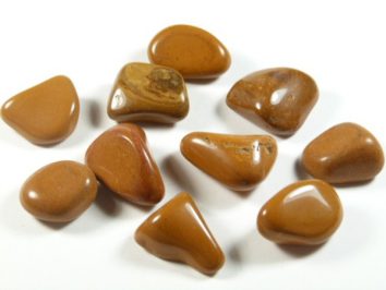 Jaspis kakaowy - kamień gładzony, polerowany, szlifowany i bębnowany w formie otoczaka. Dziesięć gładkich, brązowych kamieni na białym tle.