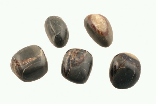 Septarian - kamień gładzony, polerowany, szlifowany i bębnowany w formie otoczaka. Pięć wypolerowanych, ciemnych kamieni leży na jasnym tle.