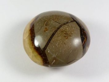 Owalny, polerowany kamień o brązowych i beżowych wzorach na białym tle.