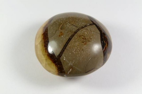 Owalny, polerowany kamień o brązowych i beżowych wzorach na białym tle.