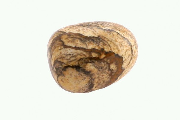 Owalny, brązowy kamień z ciemniejszymi plamami na jasnym tle.