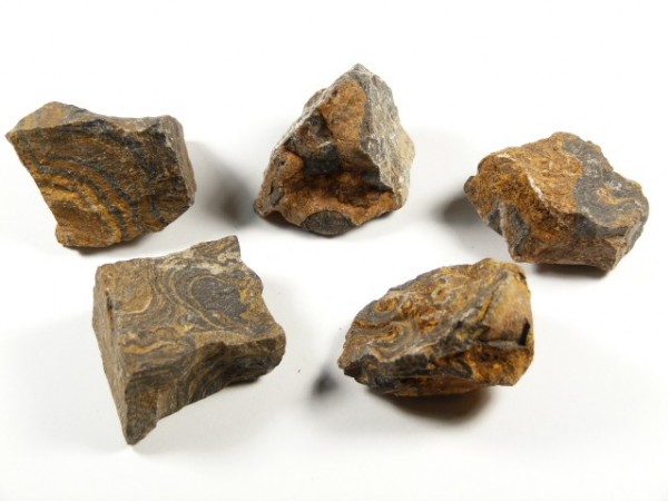 Pięć kawałków surowego kamienia z widocznymi warstwami i wzorami na białym tle.